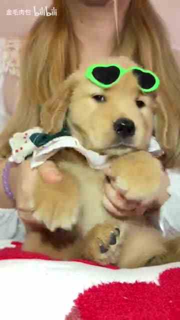 ee们好 肉包子第一天报道 给ee们展示才艺啦！1