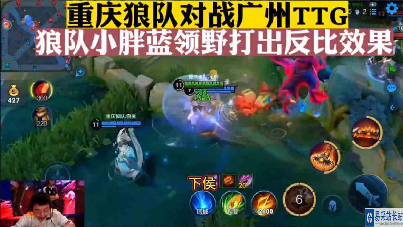 重庆狼队对战广州TTG，狼队小胖蓝领野打出反比效果