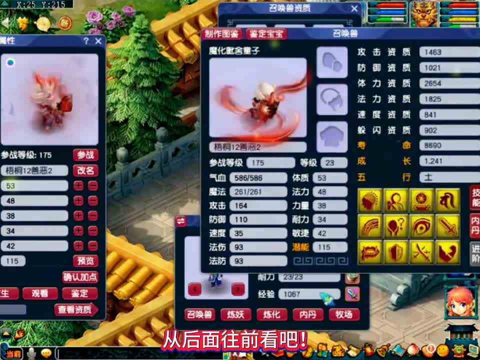 梦幻西游：价值三十多万的净台善恶双特童子拍“浮云神马”兽决