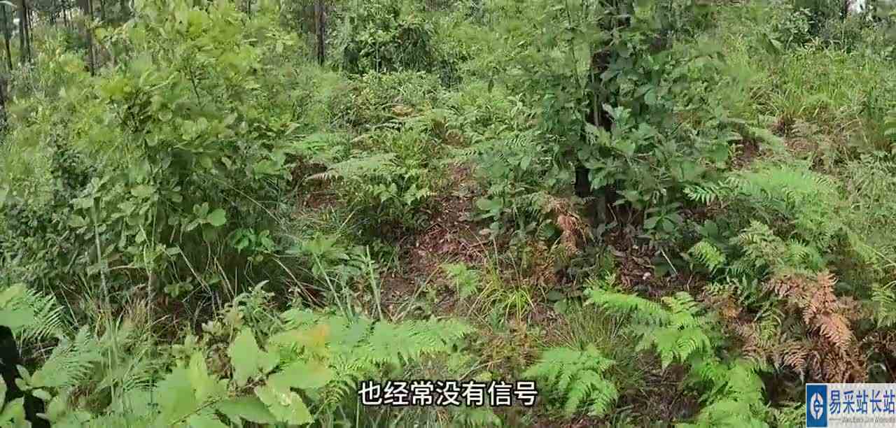 主打一个有家不回