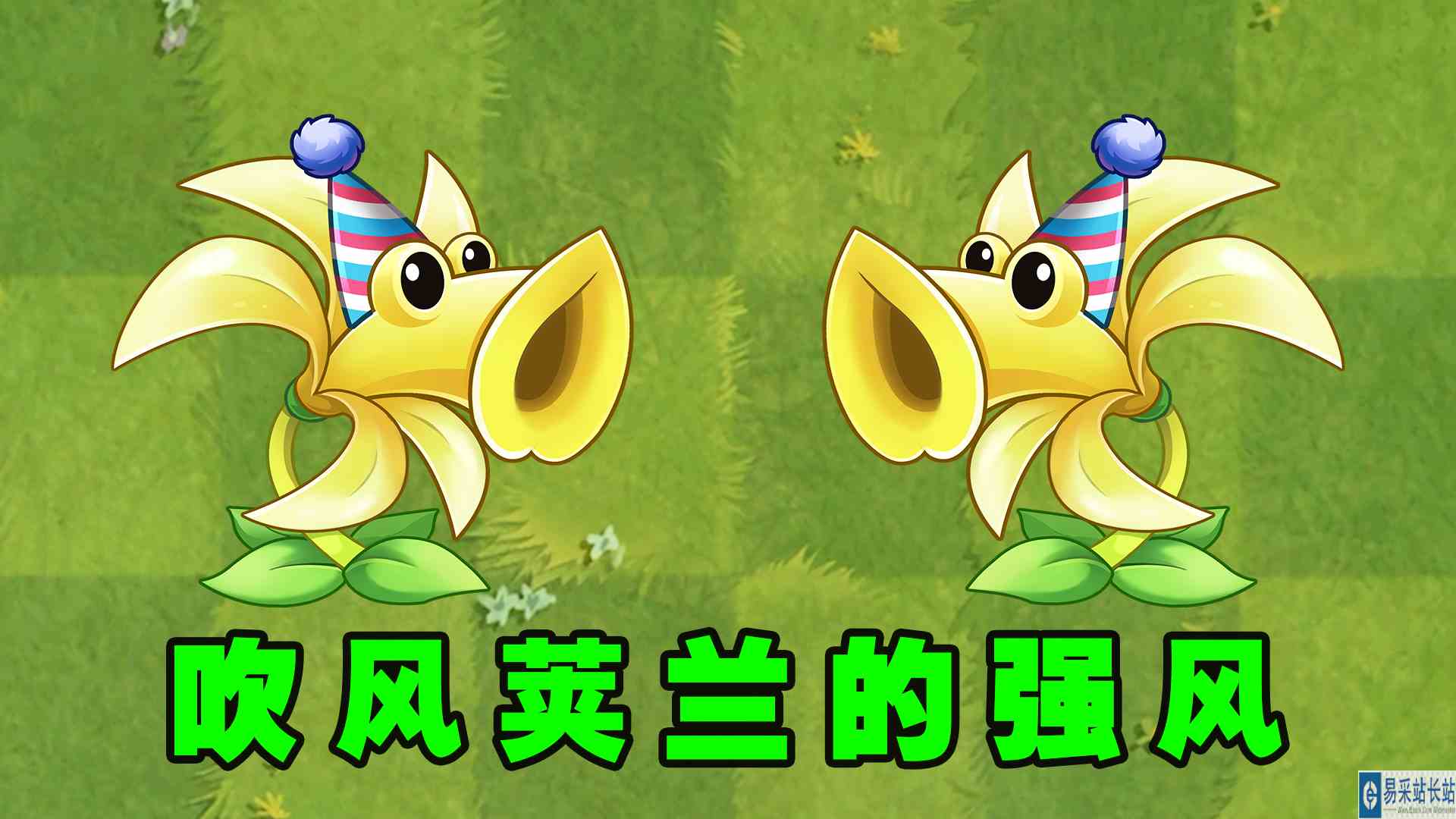 爱吹龙卷风的吹风荚兰，1至5阶还能吹出各种造型？