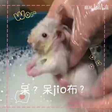 最近新收的表情包1