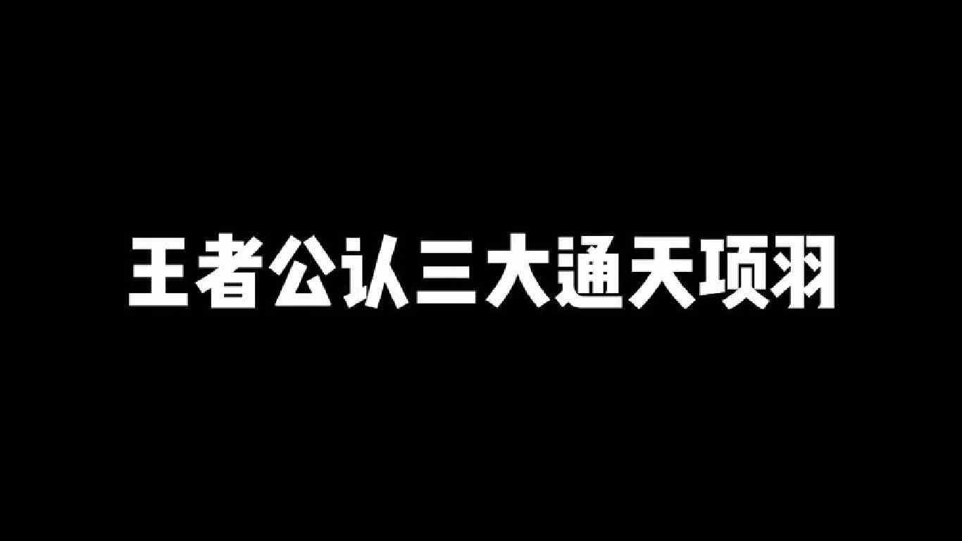 王者公认三大通天项羽，这项羽比刺客还猛