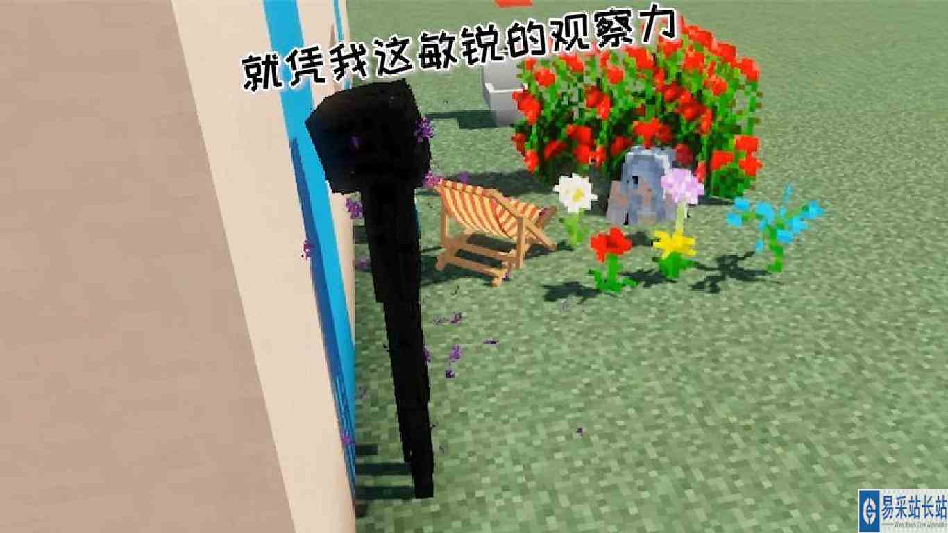 303和白喵都被我抓到了，我真是太厉害了