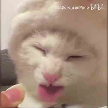 猫雷！1