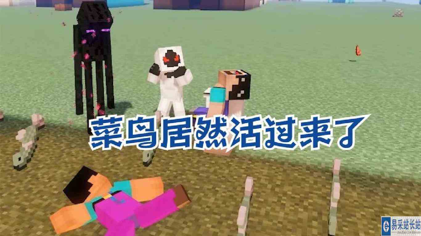 我的世界：菜鸟居然活过来了！