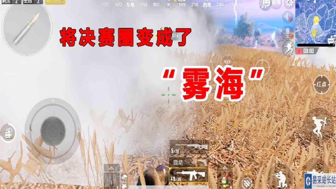 刺激战场：决赛圈草地趴6个人，扔完烟雾弹，将草地变成“雾海”