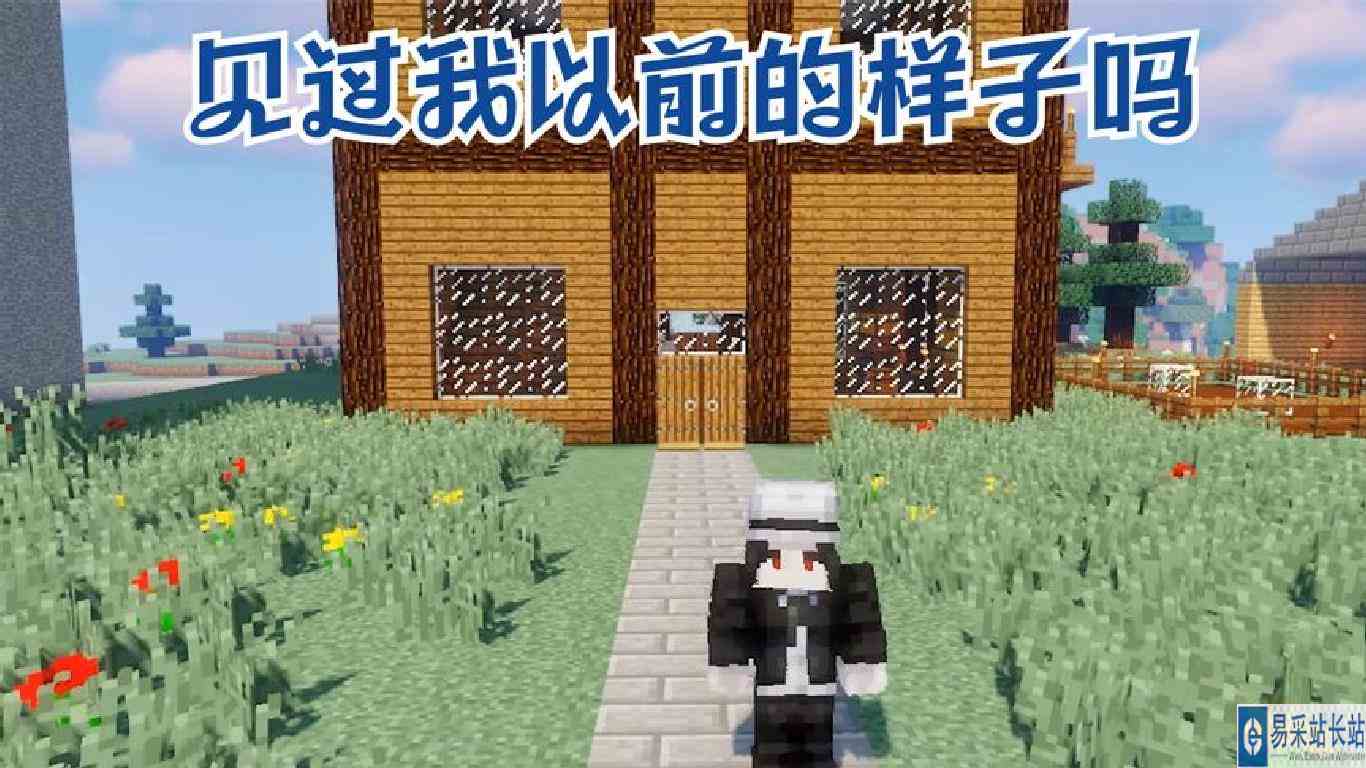 我的世界：见过我以前的样子吗