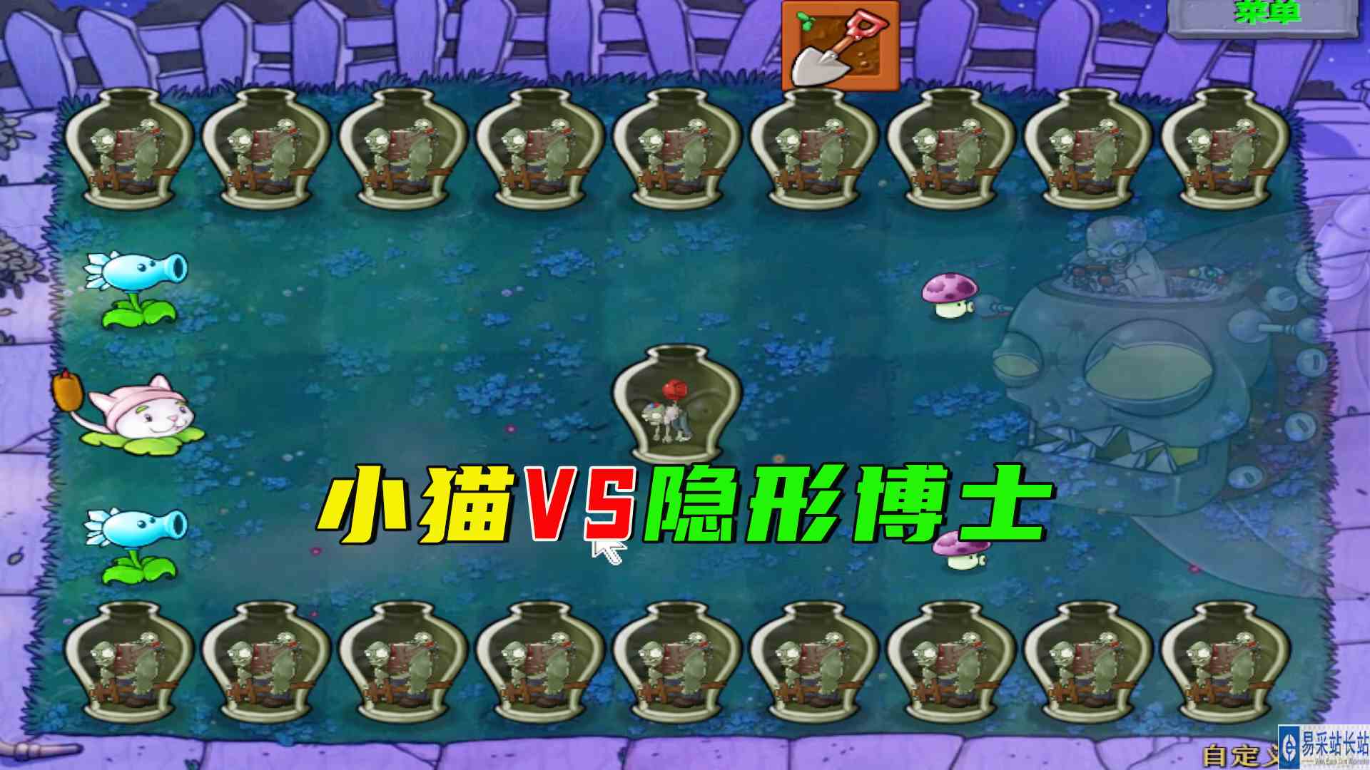 植物大战僵尸：小猫大战博士，博士隐形无敌加进化