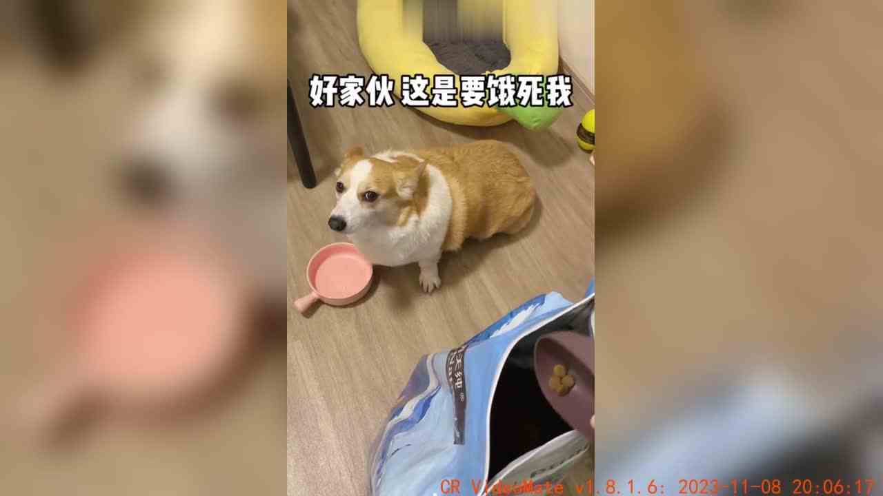 ad你再忍一忍，麻麻还有四天就发工资了