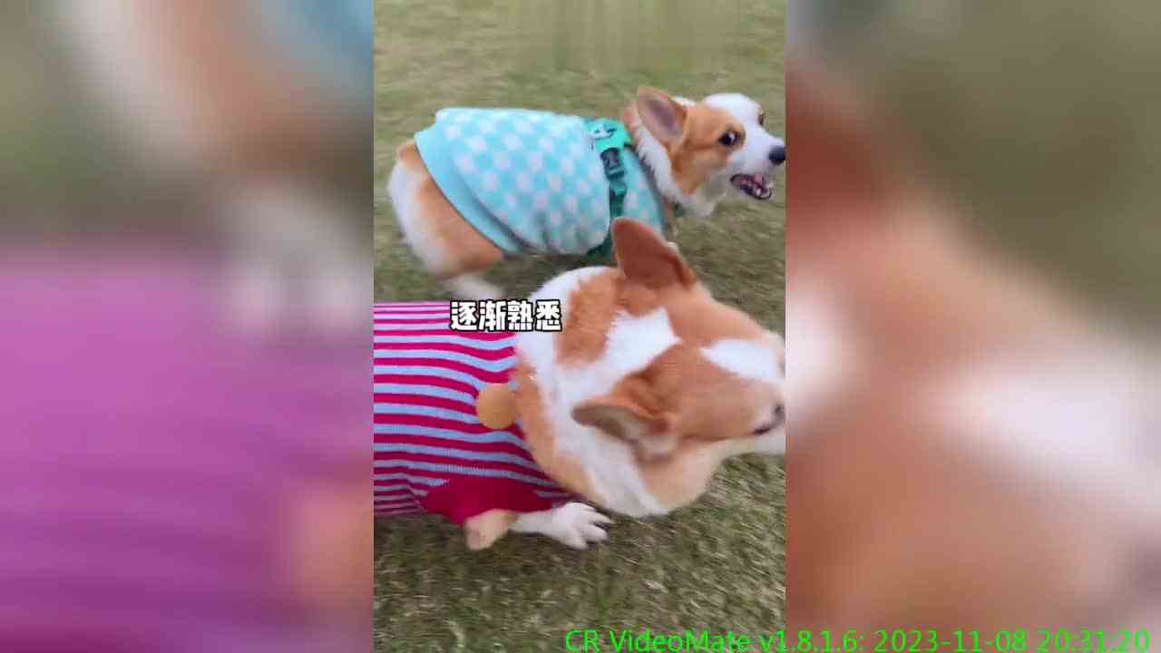 ad崽跟 合体啦！两位女明星的面基安排上了