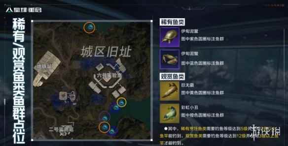 网3
