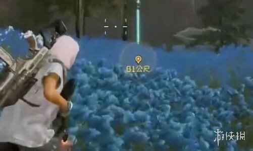 网5