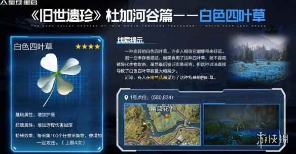 网6