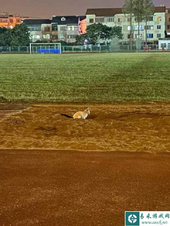 学会如何驾驶生气的女朋友 囧图 来个魅魔车牌号