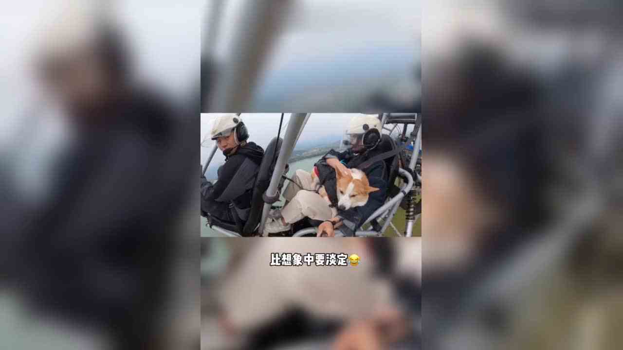 今天开始你就是小飞“基”了！