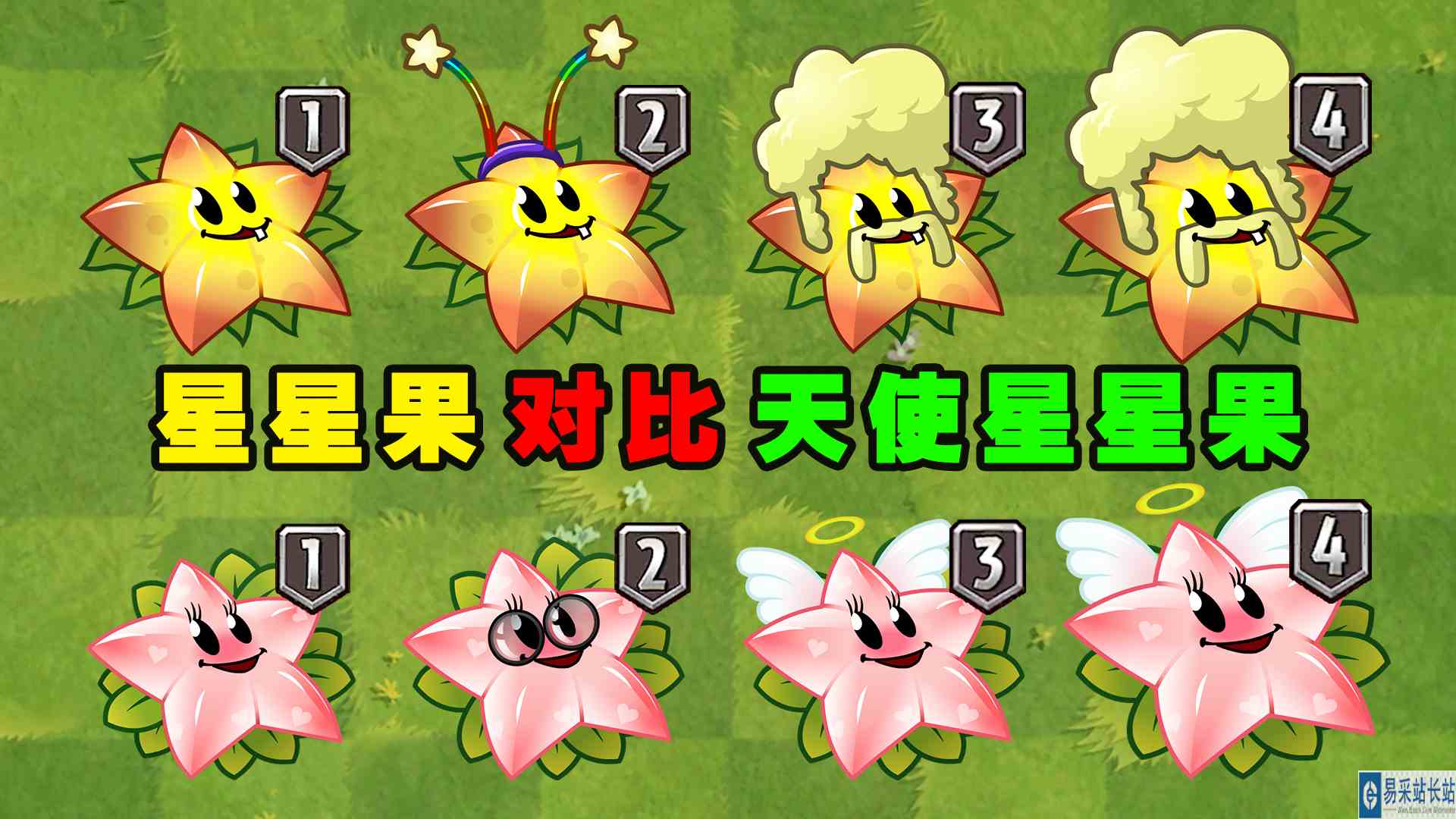 星星果和天使星星果1至4阶对比，谁的战斗值最高了？