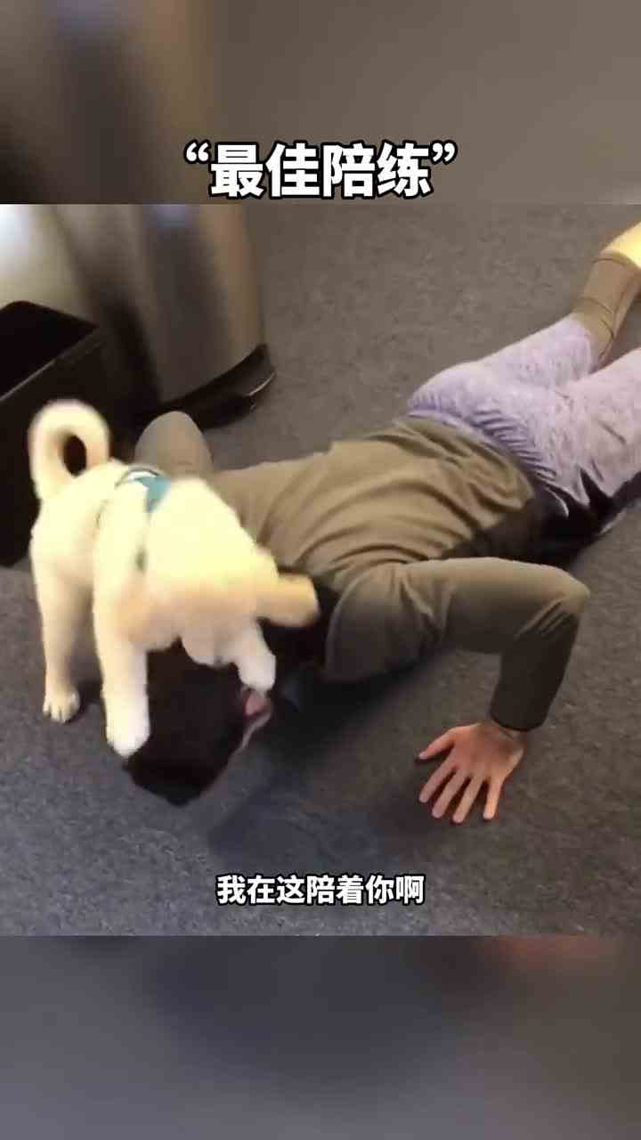 19. 最佳陪练。