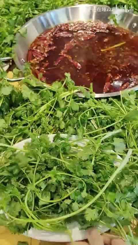 【蚊子还在睡zzz】新作上线，快来看看！