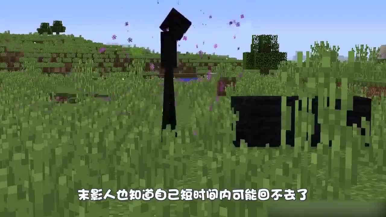 我的世界：末影人VS苦力怕，小人对战你更看好谁？