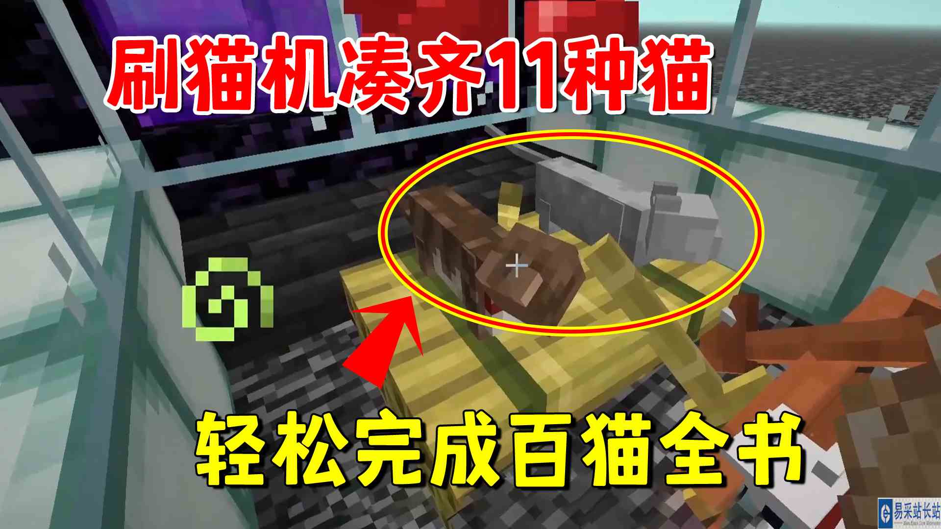 我的世界1.20联机211：刷猫机凑齐11种猫，轻松完成百猫全书