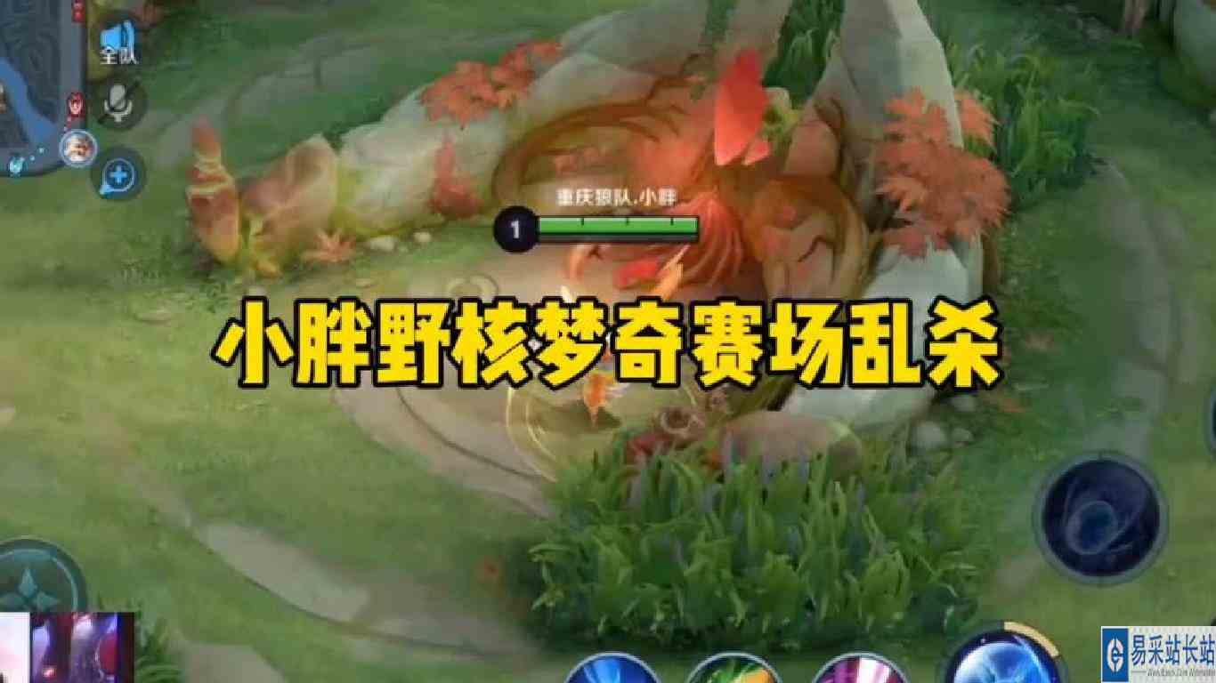 小胖野核梦奇赛场乱杀，难道说梦奇才是小胖本命吗#狼队小胖