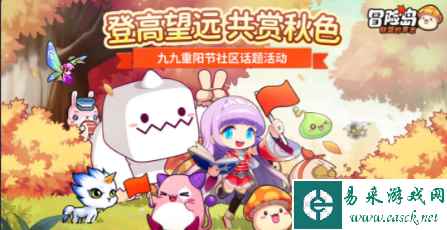 网4
