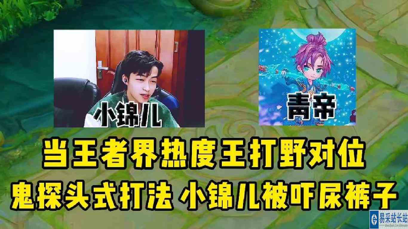 当王者界两大热度王打野对位，鬼探头式打法小锦儿被吓尿裤子！