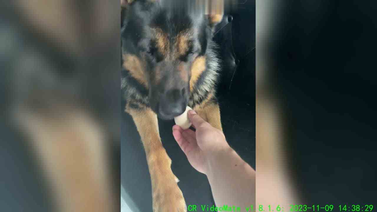 是不是可以坐等吃鸡了？