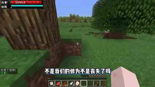 我的世界：开局是凡人，每提升五级提升修为！最后成为仙王？