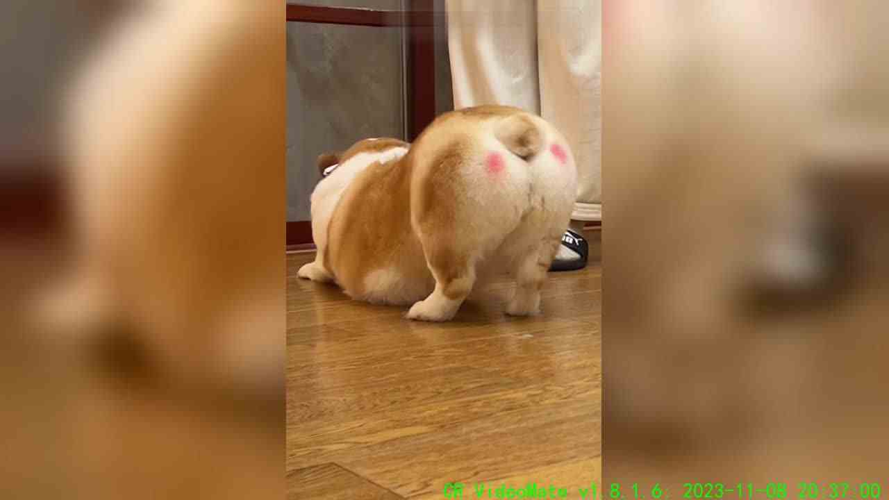 反思一下自己为什么会刷到我