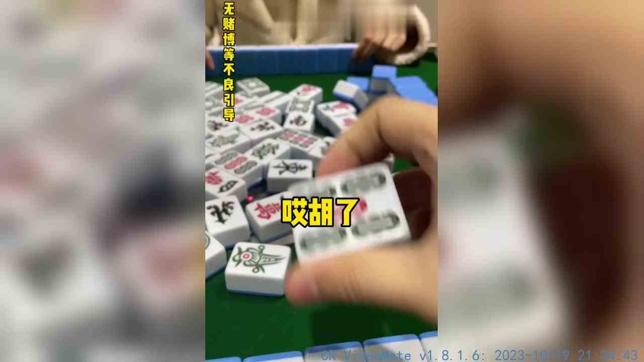 《关于女友信玄学一晚没胡牌这件事》