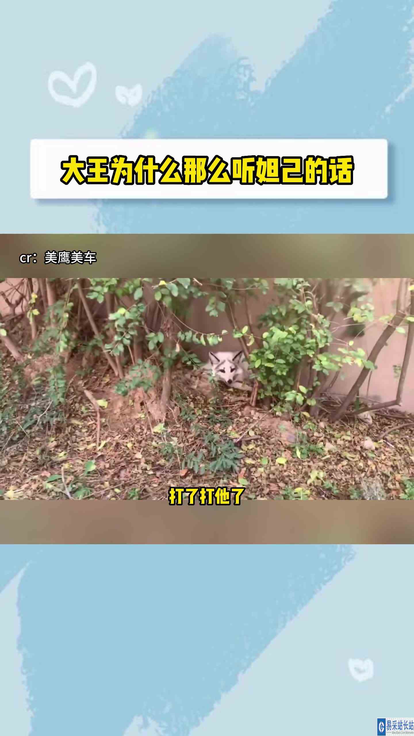 大王为什么那么听妲己的话