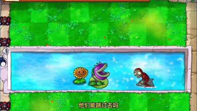 植物大战僵尸：海豚僵尸的一生，与小海豚是一生知己！