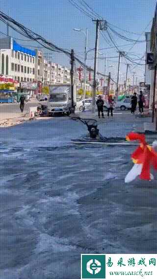 狗哥科目二没过呀 动图 一根黄瓜检验是否为真直男