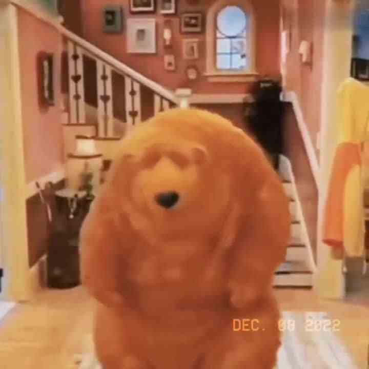 这个b视频我笑半天