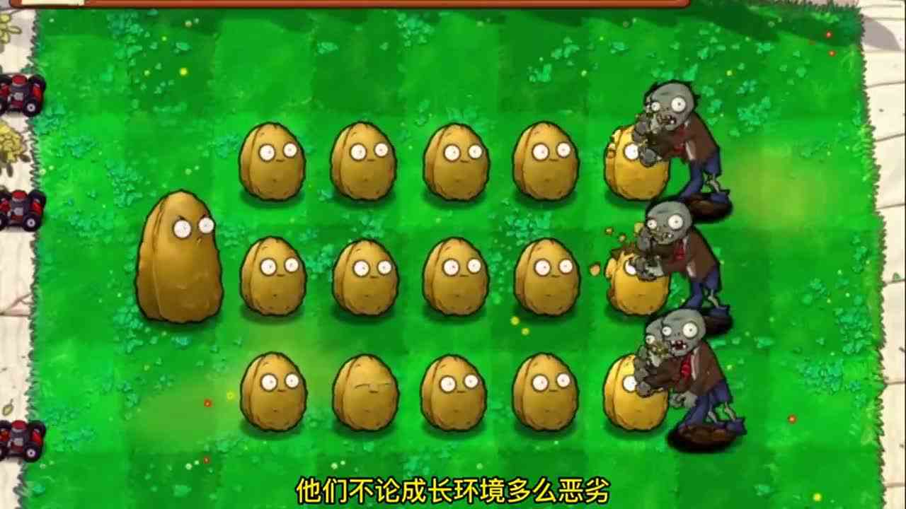 植物大战僵尸：坚果墙的一生，你能猜到是个土豆变的？