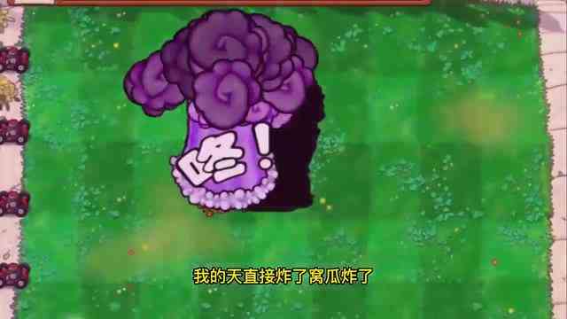 植物大战僵尸：当窝瓜有了段位，青铜窝瓜是来搞笑的？