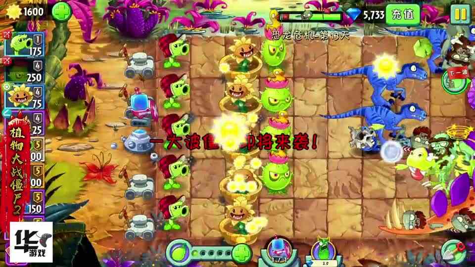 植物大战僵尸2：恐龙危机第13天导向蓟真是哪都好使啊！