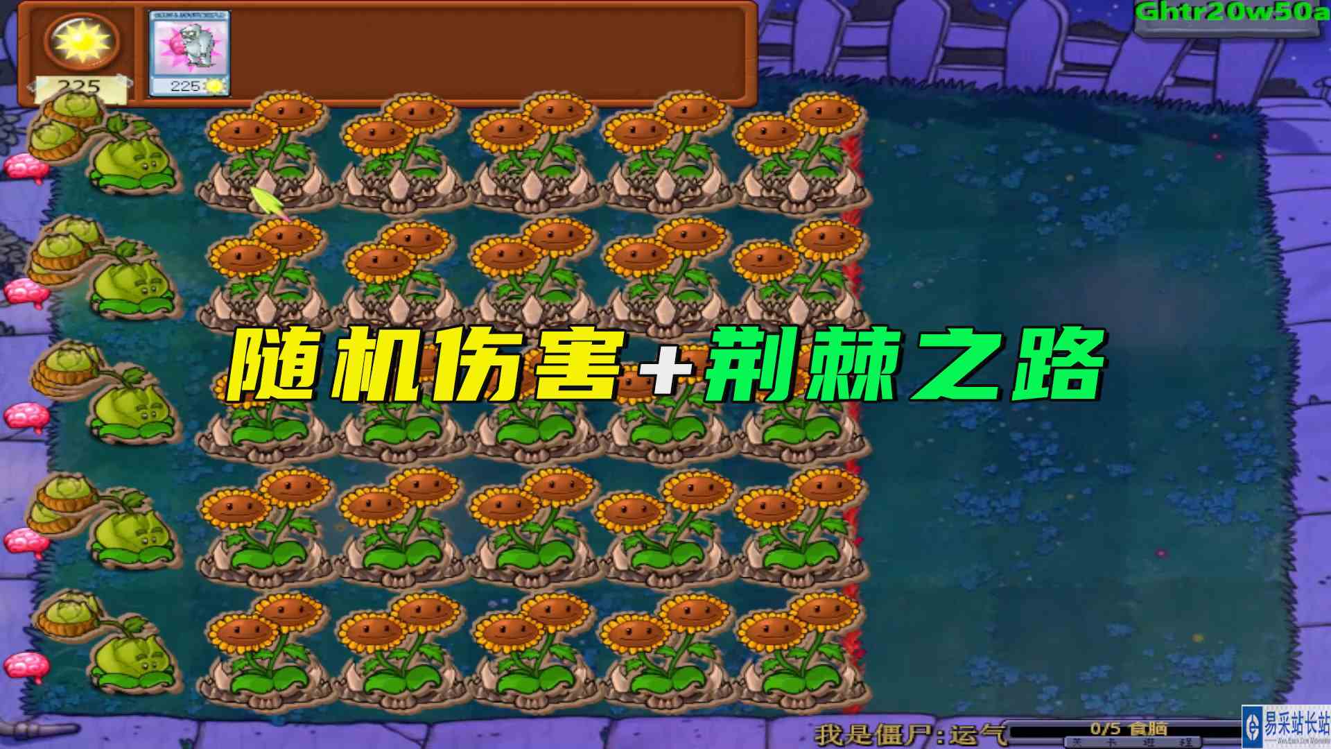 植物大战僵尸：随机伤害加上荆棘之路，这配置真不过分