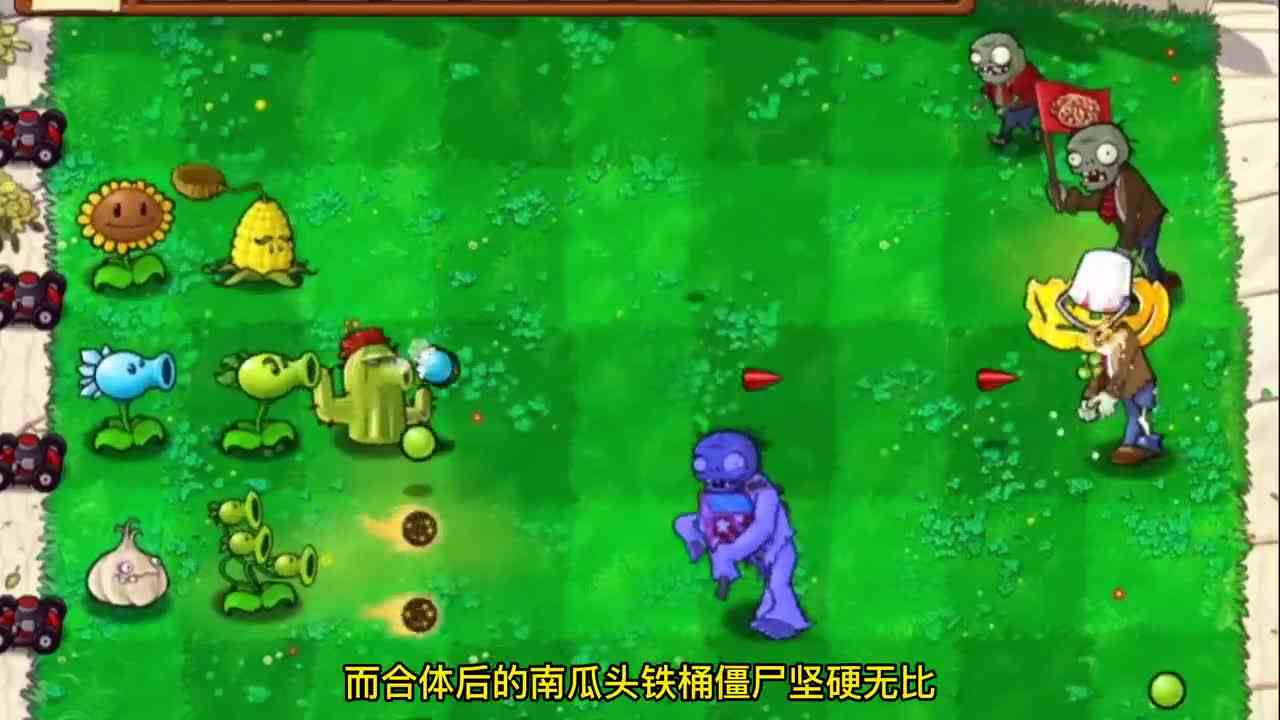 植物大战僵尸：南瓜壳的一生，年幼被排斥，老年单挑僵王！