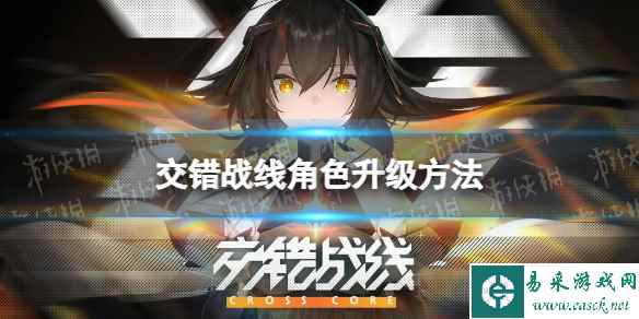 网1