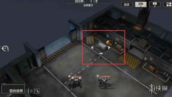 网11