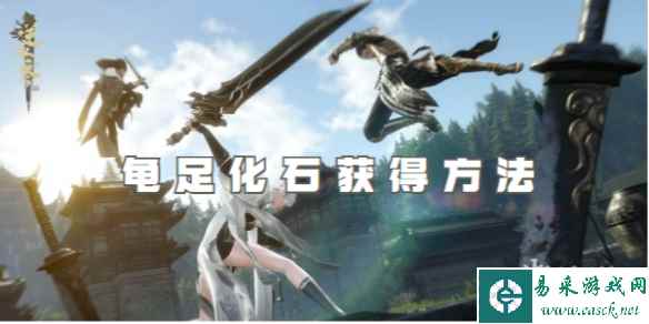 逆水寒手游龟足化石获得方法