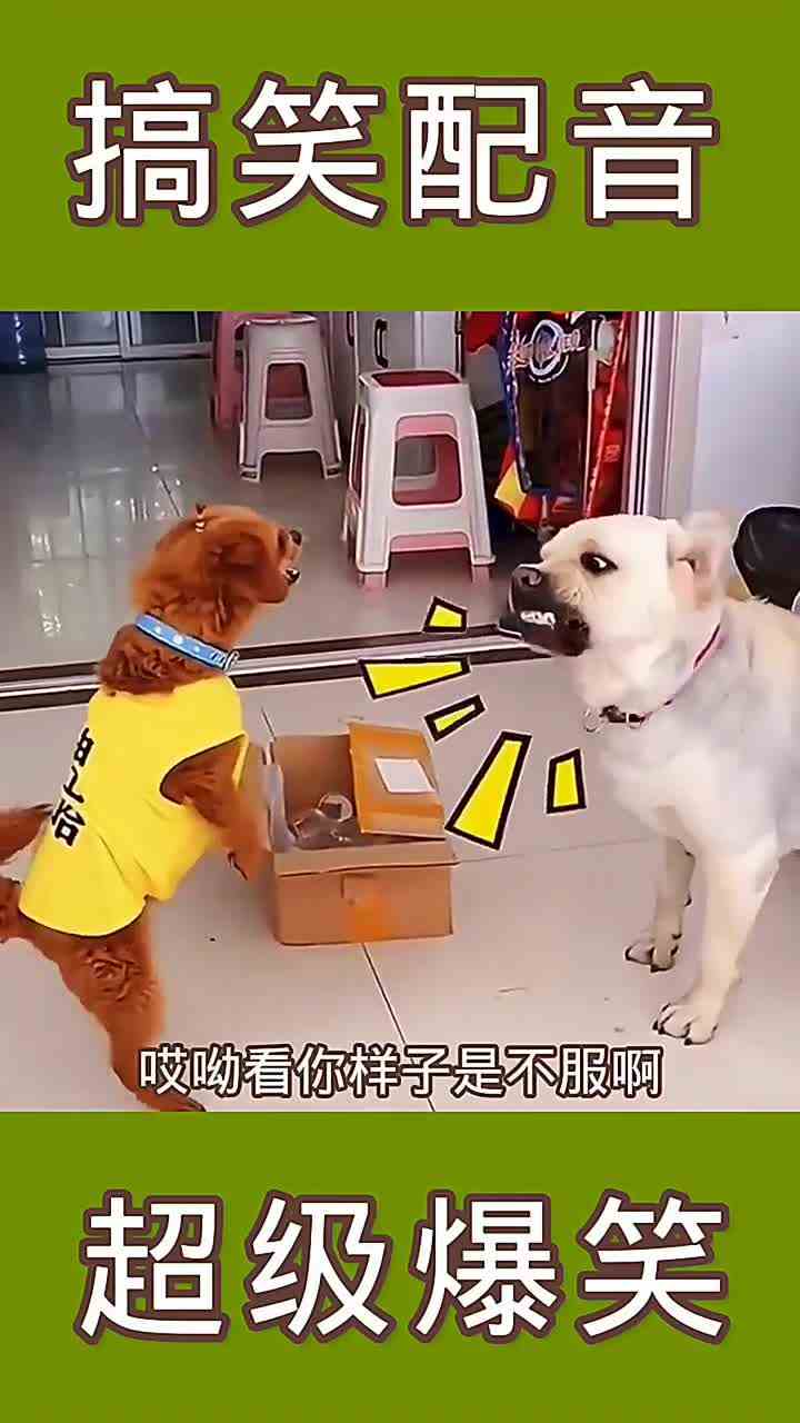 哈穿鞋穿不明白dok