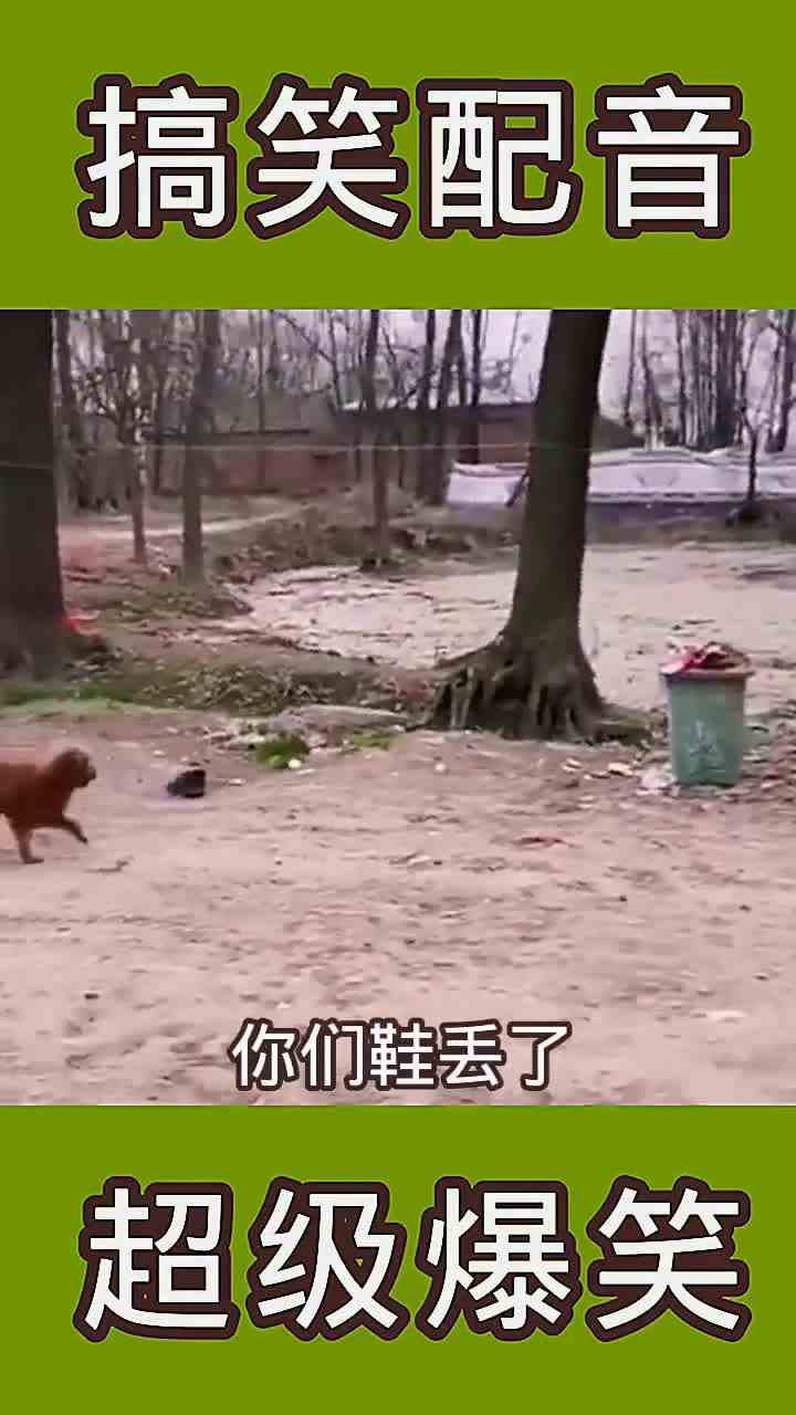 狗剩子说怎么跟上次sha鸡退毛一样？eok