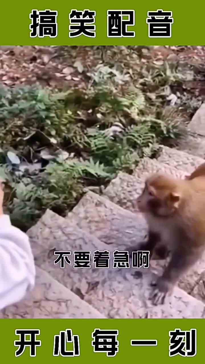 狗剩子说怎么跟上次sha鸡退毛一样？7ok