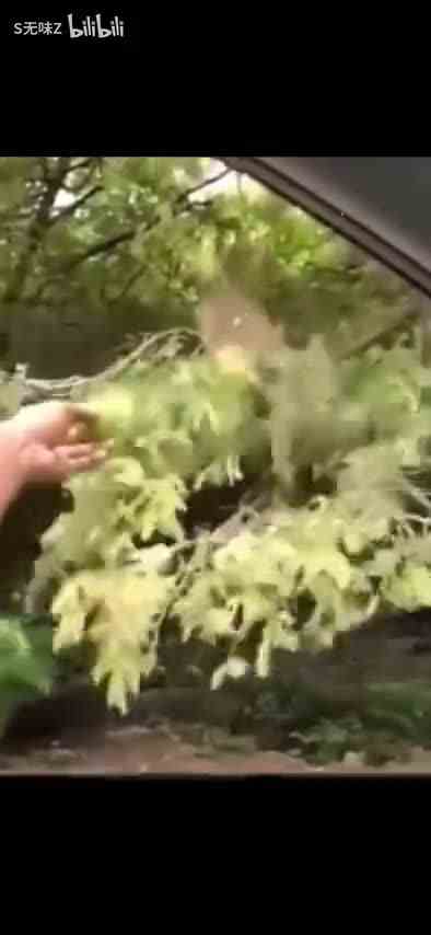今天我必须得吃，耶稣都拦不住我