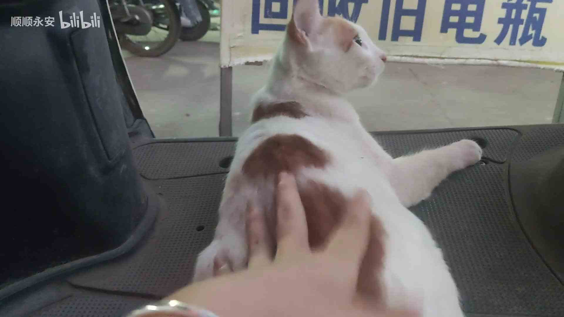 再拍pp就要起飞了！