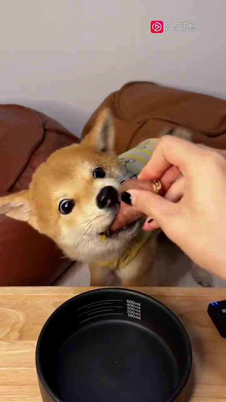 随机吓鼠一位路过的ee （1）